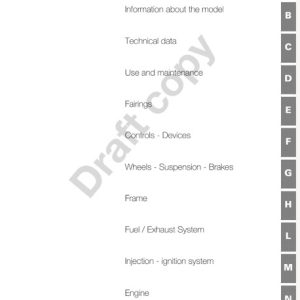 2007 Ducati 1098 ,1098s Service Manual